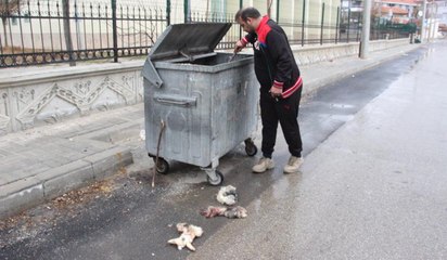 ‘Kedilerin derisini yüzdüler’ ihbarına giden polis şoke eden manzara ile karşılaştı