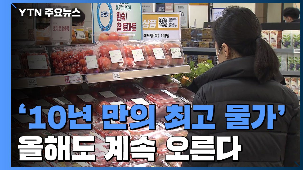 '10년 최고' 지난해 이어 물가는 올해도 계속 오른다 / YTN
