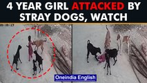 Bhopal: 4 year old attacked by stray dogs, incident caught on CCTV| Oneindia News