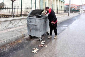 'Kedilerin derisini yüzdüler' ihbarına giden polis tavşan derisi buldu