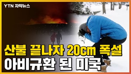 [자막뉴스] "미국 역사상 가장 큰 불"...최악의 콜로라도 상황 / YTN