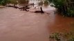 Moradores do grande Vale do Piancó comemoram enchentes de rios após as primeiras chuvas