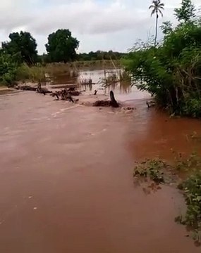Moradores do grande Vale do Piancó comemoram enchentes de rios após as primeiras chuvas