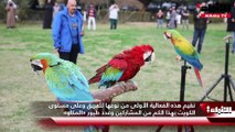 الفريق الكويتي للطيران الحر نظم مهرجان طيور «المكاو» في حديقة الرميثية