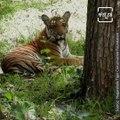 Beautiful View Of Karnataka's Famous Nagarahole National Park.