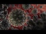 أشهر الخرافات والشائعات المنتشرة عن فيروس كورونا حول العالم