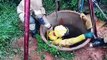 Bombeiros do DF resgatam labrador que caiu em uma cisterna em Ceilândia