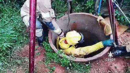 Bombeiros do DF resgatam labrador que caiu em uma cisterna em Ceilândia