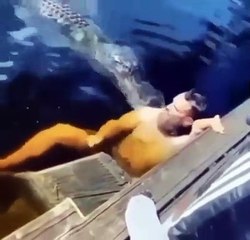 Crocodile Attacked Man