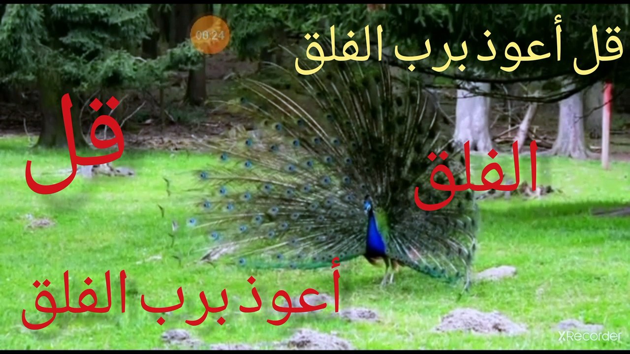 نقي قلبك السر في كلمة الفلق؟؟