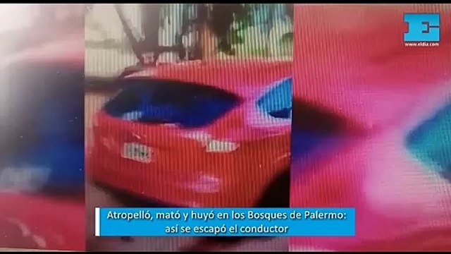 Atropelló, mató y huyó en los Bosques de Palermo: así se escapó el conductor
