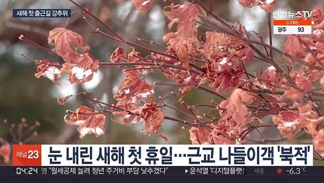 새해 첫 출근길 반짝 강추위…도로 살얼음 주의