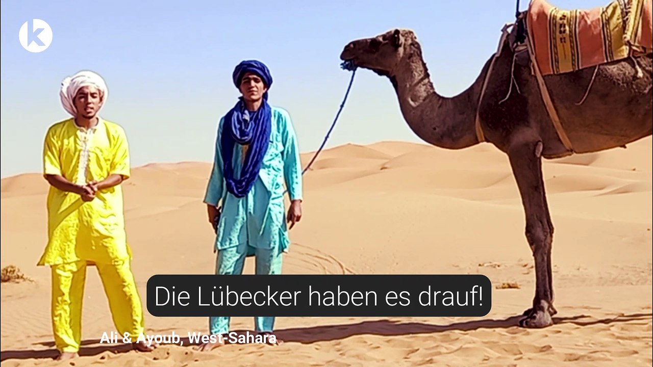 Dekorative Mineralien: Meteoriten