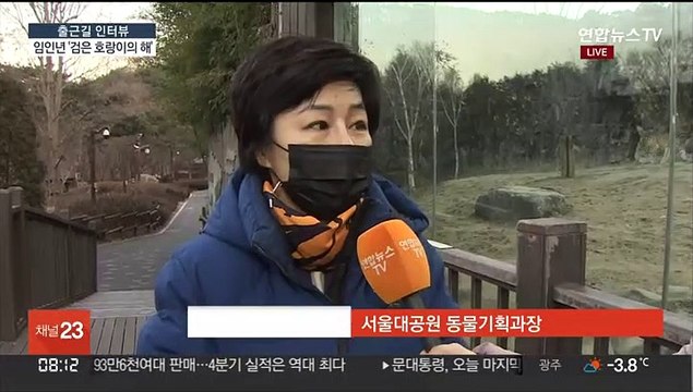 [출근길 인터뷰] 새해 첫 출근길… 호랑이 기운 받아 건강하세요