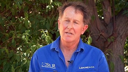 Supply constraints for farmers expected to create challenges in 2022
