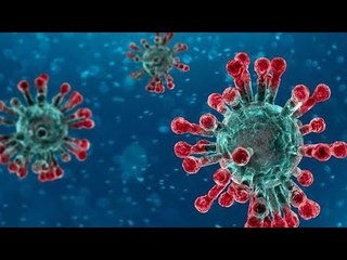 تعرف على مستجدات كورونا بإيطاليا: لا ننتظر نجدة السماء.. البلد شغال