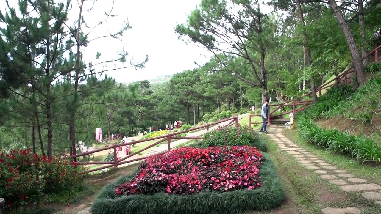 Tình Cù Lần Tập 14 - Phim Việt Nam