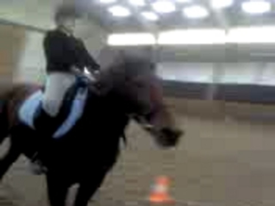 Galop choupi et Margot