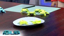 iBilib: Let’s make jumping paper frogs!