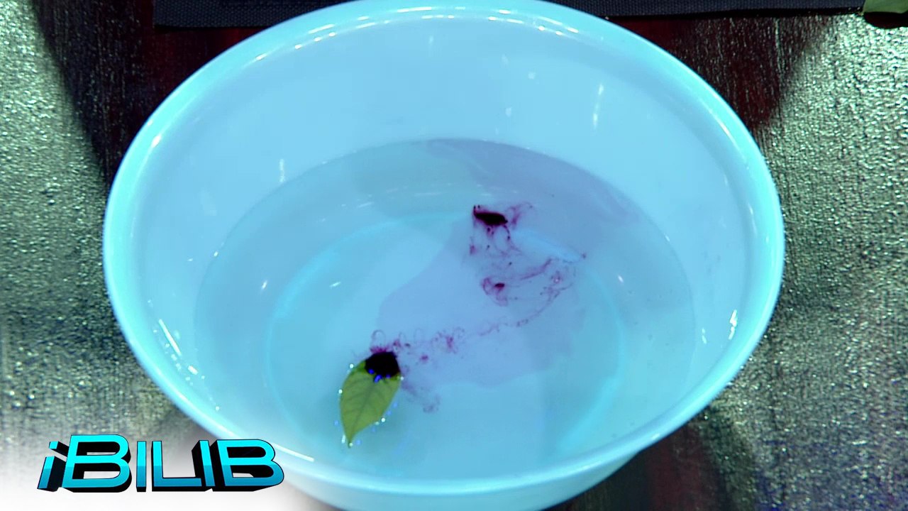 iBilib: Ink-powered leaf boat