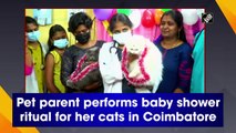 Pet parent performs baby shower ritual for her cats in Coimbatore