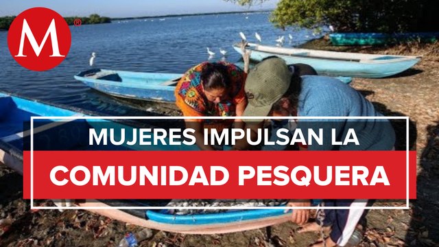 Gracias a Dios, ya participamos; los hombres eran machistas : pescadoras indígenas de Oaxaca