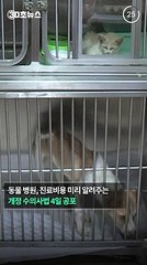 [30초뉴스] 반려동물 진료비 과다청구 막는다…개정 수의사법 공포