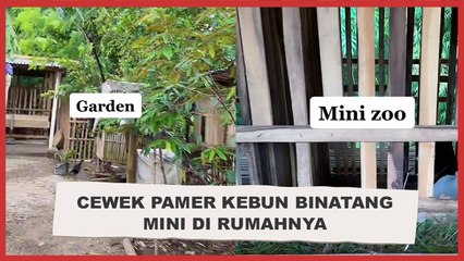 Cewek Pamer Kebun Binatang Mini di Rumahnya, Warganet: Sultan Versi Kearifan Lokal