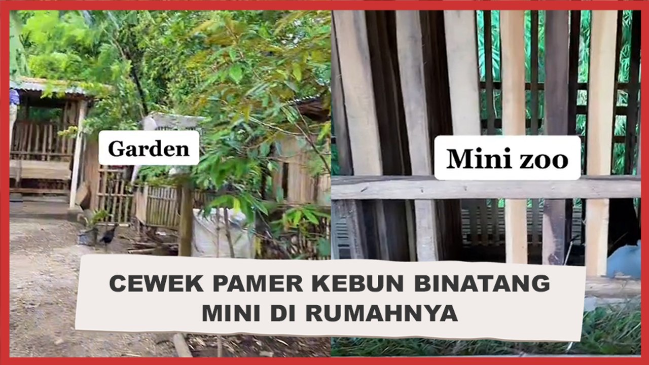 Cewek Pamer Kebun Binatang Mini di Rumahnya, Warganet: Sultan Versi Kearifan Lokal