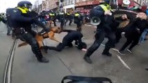 Hollanda'da polis protestoculara köpeklerle müdahale etti