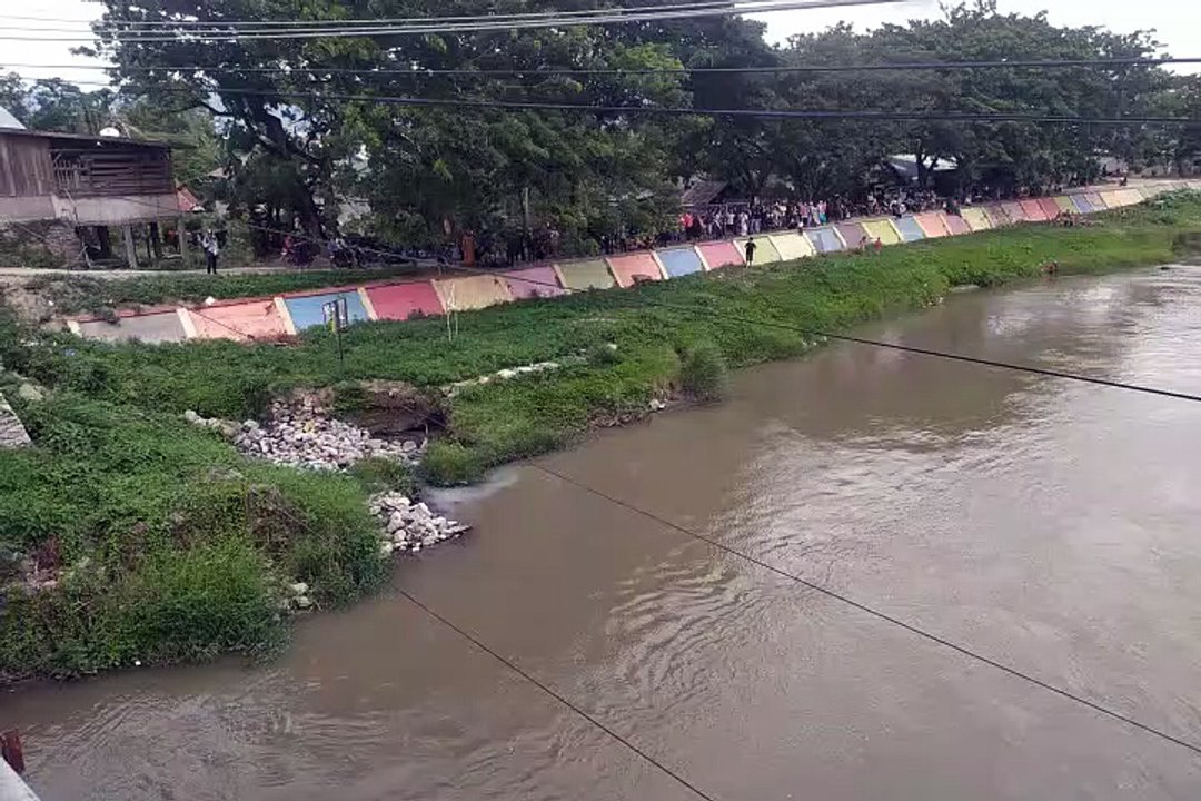 Warga Kota Palu Menonton Buaya Berkalung Ban di Jembatan Palu II