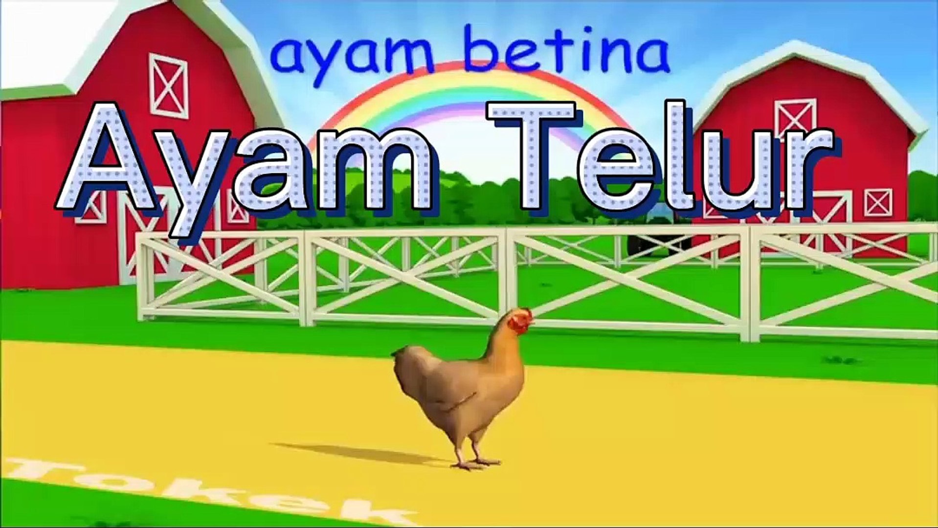 45 Gambar Hewan Ayam Betina HD Terbaru