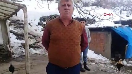 Kimsenin kalmadığı köyde, kedilerin ölmemesi için mücadele ediyor