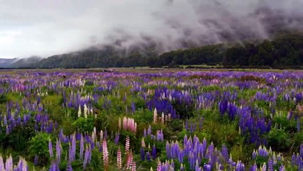 Moving Art Saison 3 - Trailer (EN)