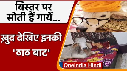 Rajasthan: इस घर में गायों के लिए हैं पर्सनल बेडरूम और बेड, देखें ऐसी है ठाठ बाट | वनइंडिया हिंदी