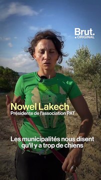 Cette activiste accueille les chats et les chiens errants