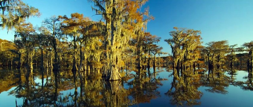 Seven Worlds, One Planet Saison 1 - Trailer (EN)