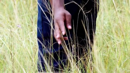 David Makes Man Saison 1 - Trailer (EN)