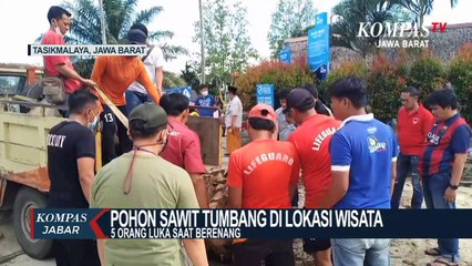 Pohon Sawit Tumbang di Tempat Wisata