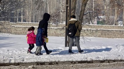 Ağrı'da dondurucu soğuklar yerini kar yağışına bıraktı