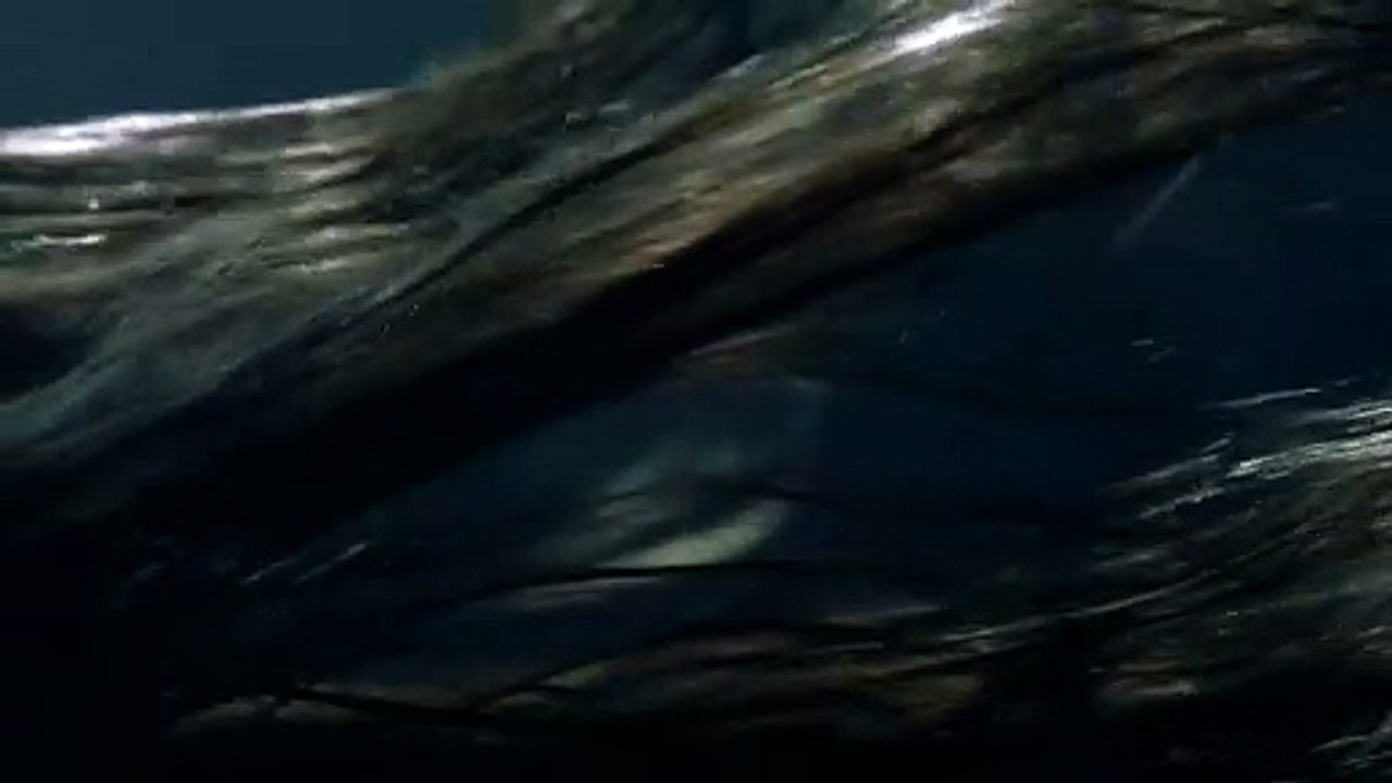 Siren (2018) Saison 1 - Teaser (EN)