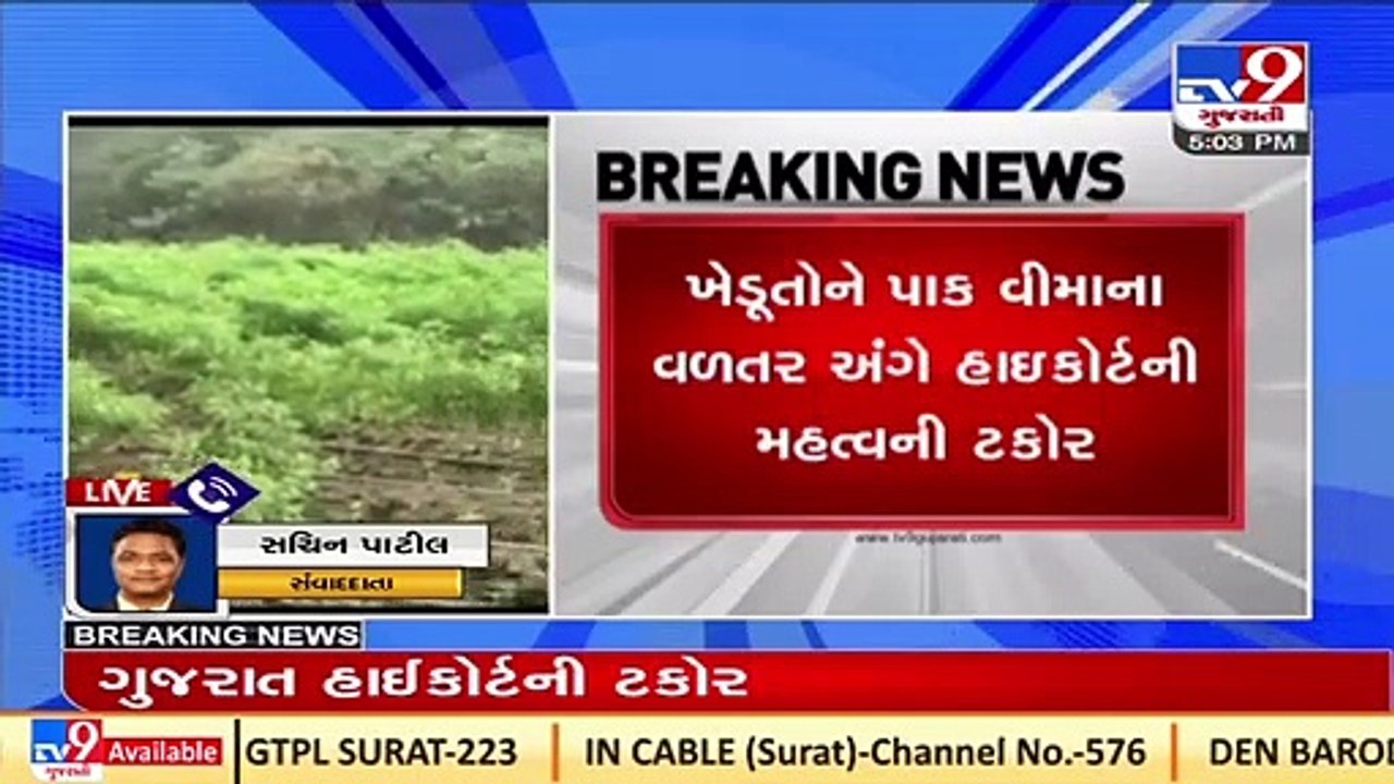Gujarat HC orders state to pay farmers compensation against crop loss due to unseasonal rain_ TV9