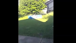 Cat Gets The Biggest Scare Of His Life And Runs On Water