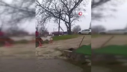 Elindeki kürekle otoparktaki araçlara zarar veren şahıs tutuklandı