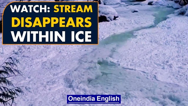 Canada: Stream freezes up within seconds in British Columbia | Watch | Oneindia News