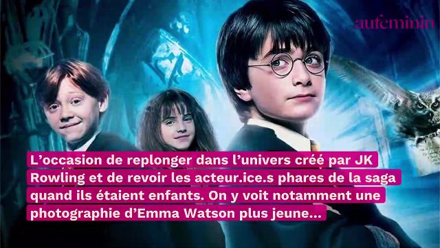 Harry Potter : la grosse boulette de la production pendant la réunion du casting