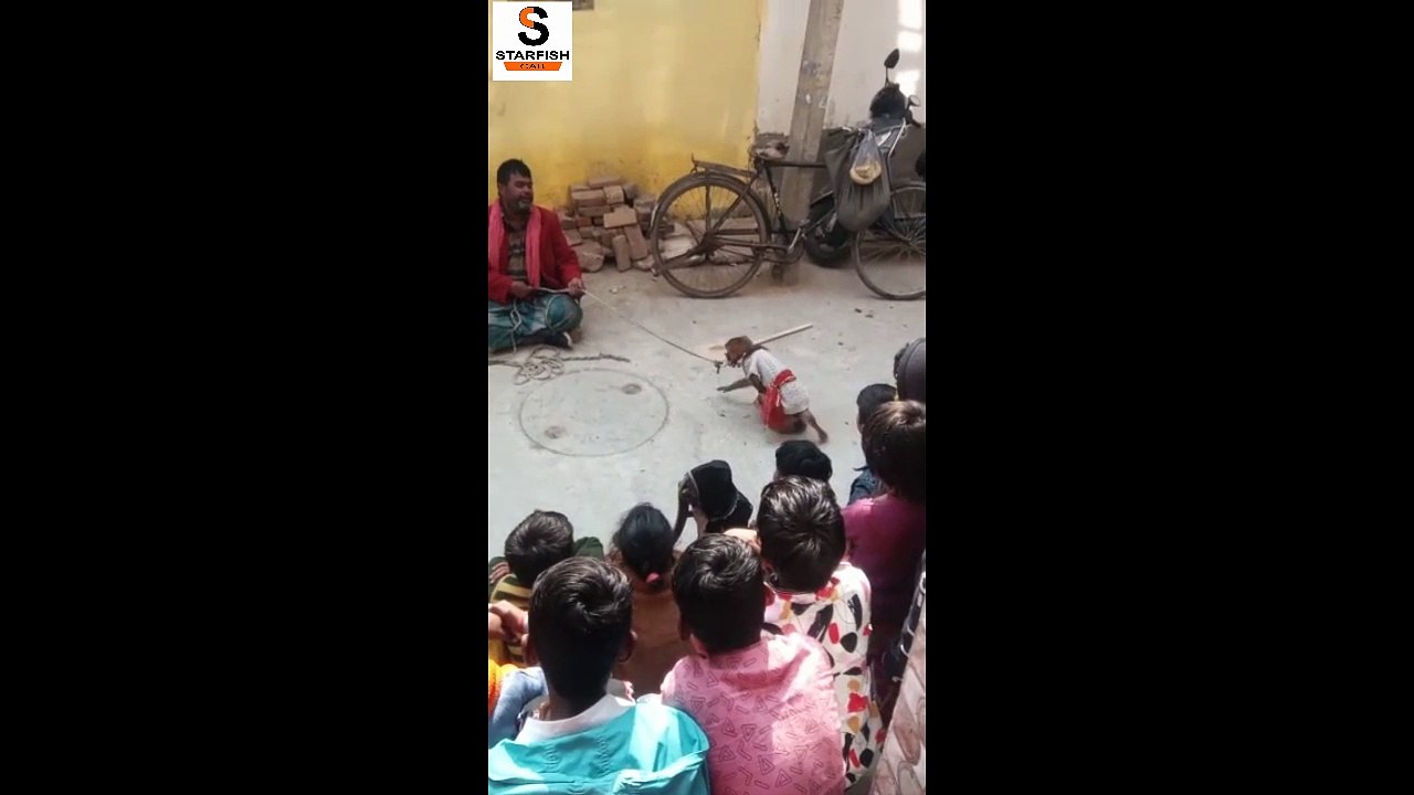 बंदर का खेल | Monkey Drama | Bandar Bandriya ka khel | Famous Video कॉमेडी बन्दर का खेल#StarfishCab