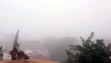 'ओलावृष्टि से फसलें बर्बाद, सरकार दें मुआवजा'