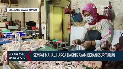 Sempat Tinggi, Awal Tahun Harga Daging Ayam Berangsur Turun