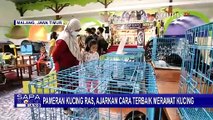 Pameran Kucing Digelar di Jatim Park 2 Batu, Kucing Bengal Jadi Perhatian Pengunjung